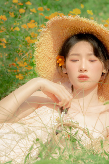 灿烂的季节剧情介绍